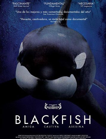 Blackfish